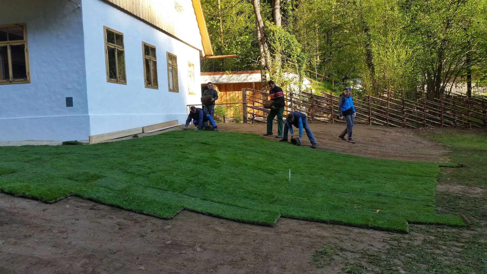 Rollrasen in Graz und Umgebung 2