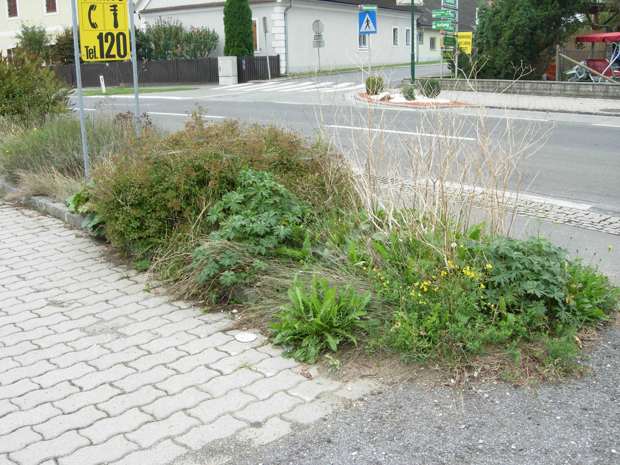 Experte in der Kommunalpflege in Graz und Umgebung